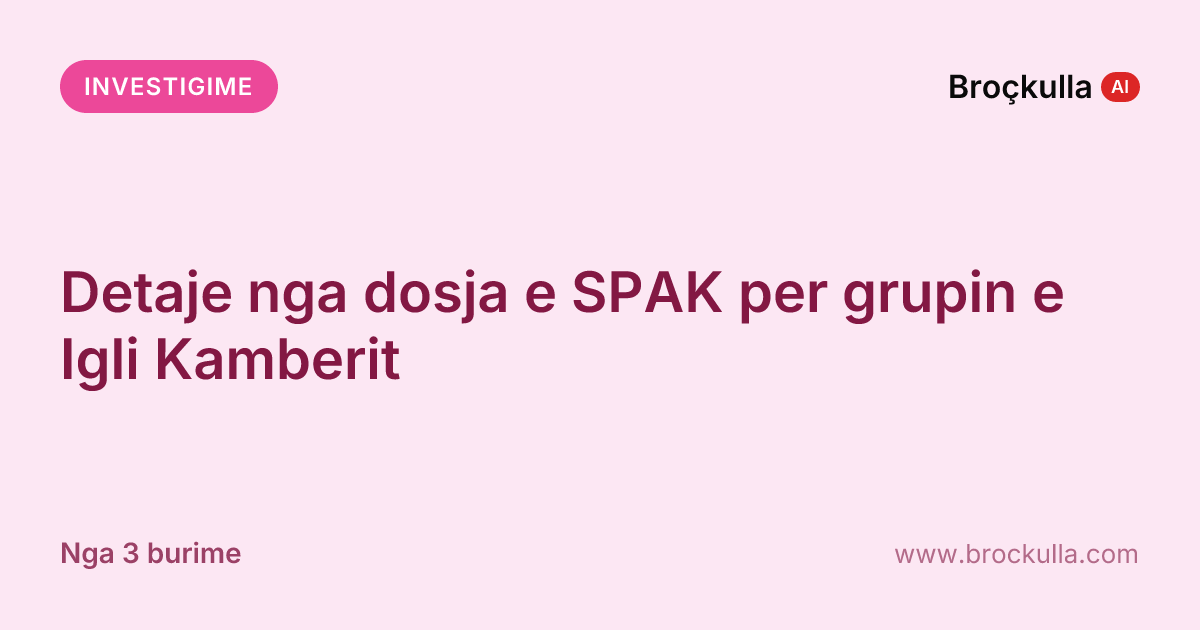 Detaje nga dosja e SPAK per grupin e Igli Kamberit