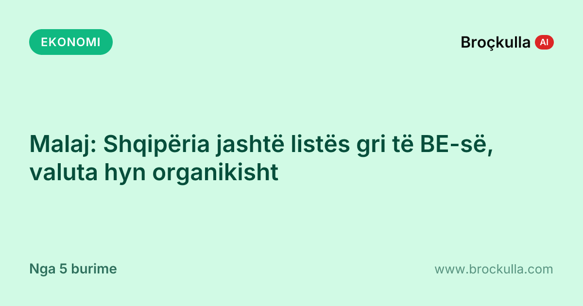 Malaj: Shqipëria jashtë listës gri të BE-së, valuta hyn organikisht